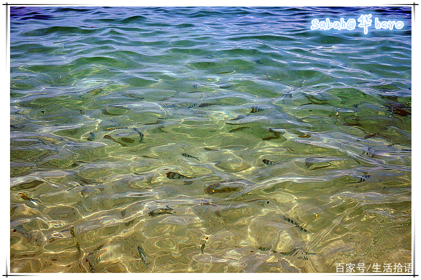 马来西亚沙巴行最新视频,马来西亚沙巴5天游