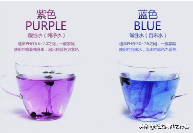 黑枸杞跟黄菊花泡水什么颜色,枸杞泡水呈什么颜色为正品