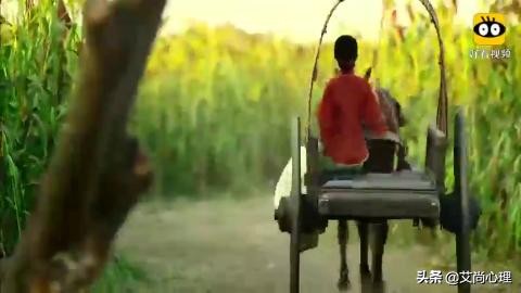 《日光流年》｜比《活着》更沉重，当一个人的死，会“如期而至”