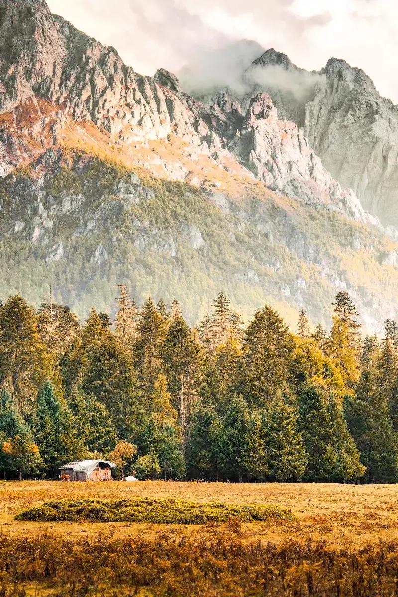 终于攒够了年假,年假怎么攒