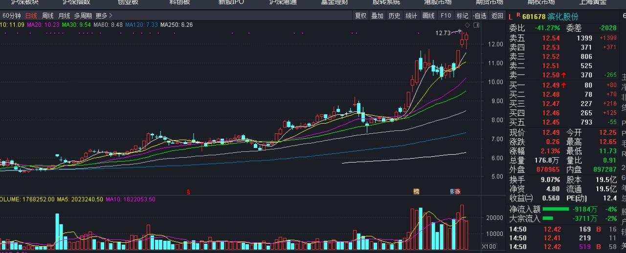 股票滨化股份分析要点,滨化股份是什么周期趋势