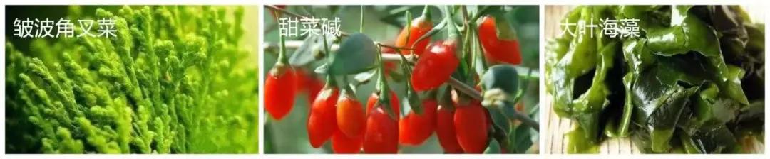 去螨虫慕斯推荐,洗面奶慕斯去螨虫