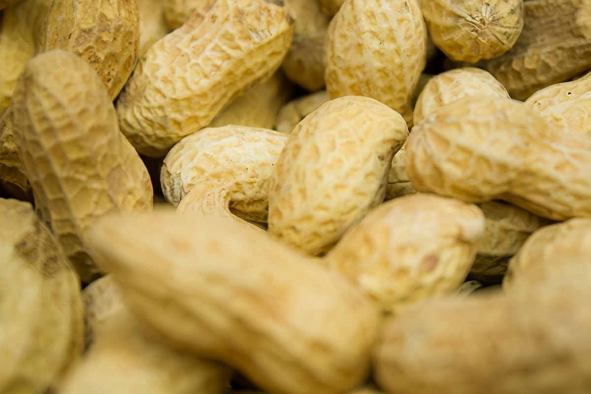 荨麻疹患者在吃的方面有什么宜忌,非典型麻疹综合征饮食禁忌