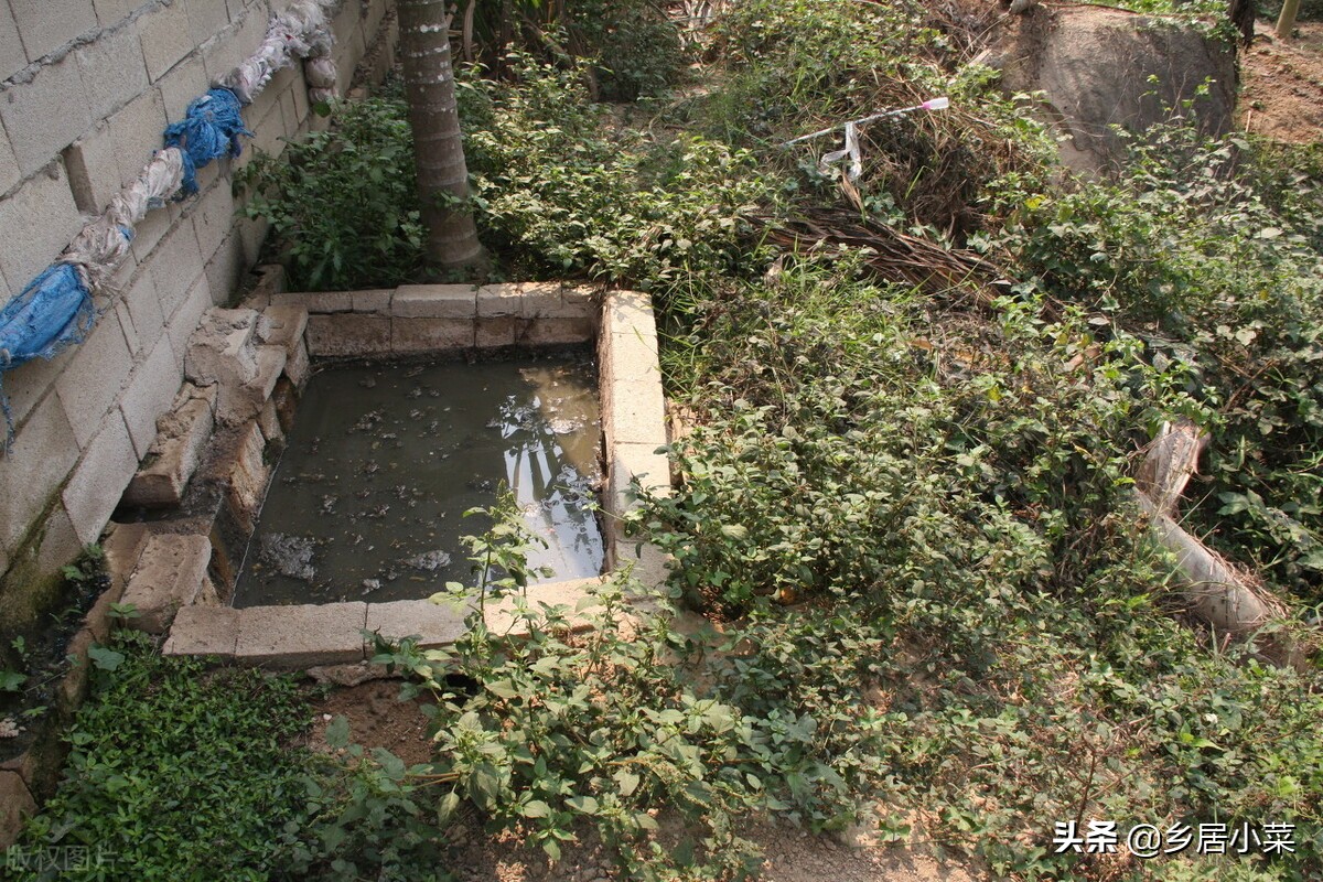 辣椒苗栽了后用薄膜能提高地温吗,移栽辣椒苗后用什么药