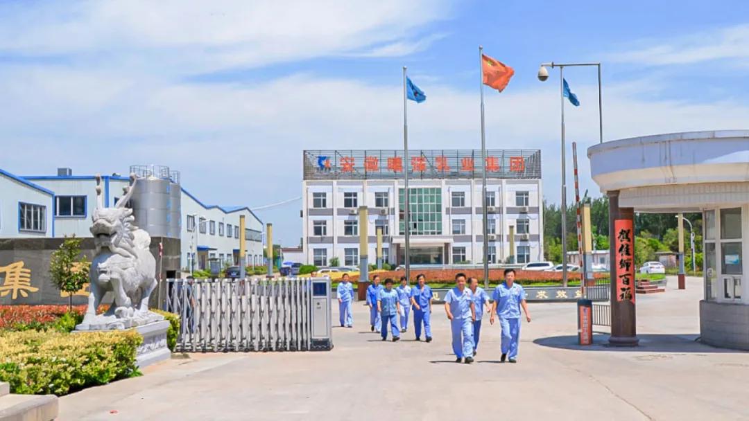 5000头奶牛养殖项目,5000头奶牛场建设