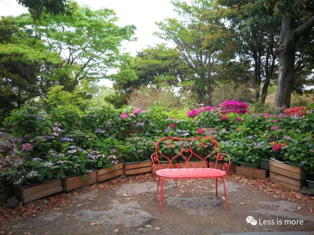 韩国济州岛超详细旅游规划攻略,韩国济州岛攻略自由行