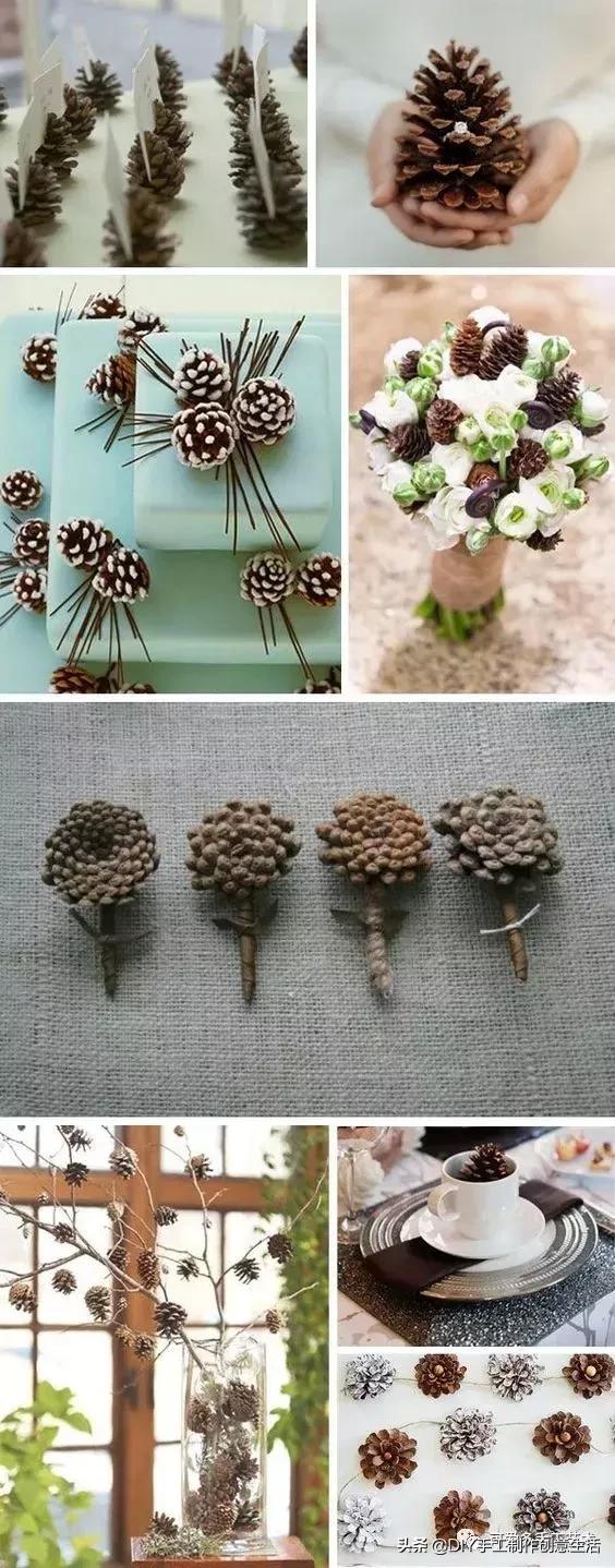 坚果壳吃完不要扔垃圾桶,坚果果壳做手工