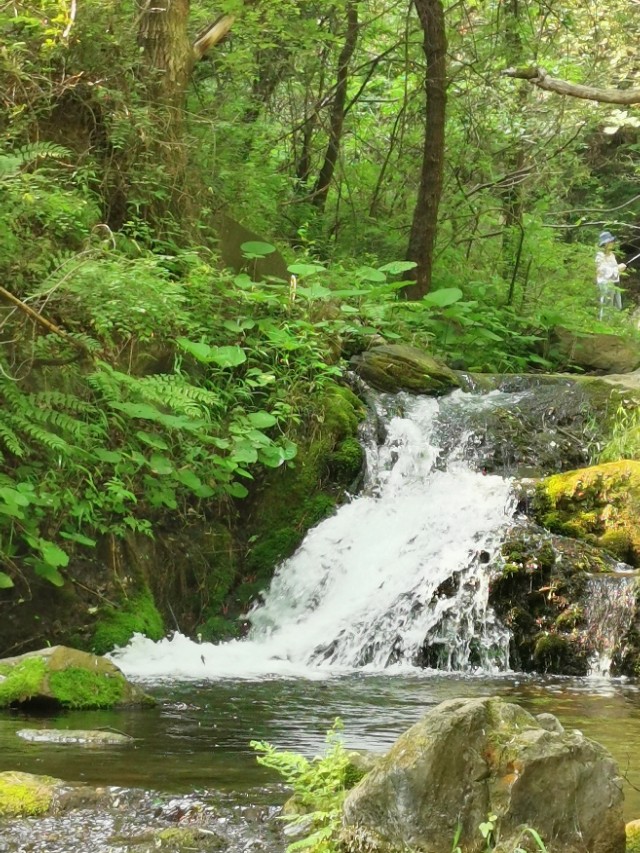 重渡沟：曾经的穷山沟！被民宿唤醒、如今游客一住就俩月