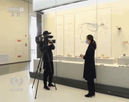 苏州现在很火的视频,最近的苏州