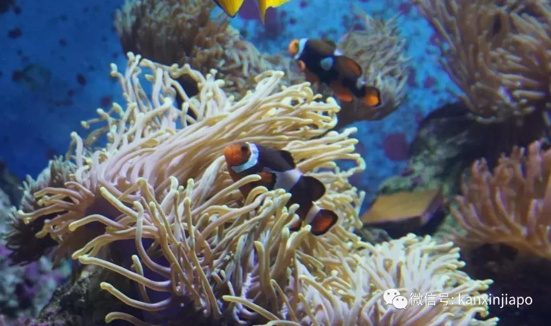 圣淘沙名胜世界完整版,圣淘沙旅游攻略地图大全