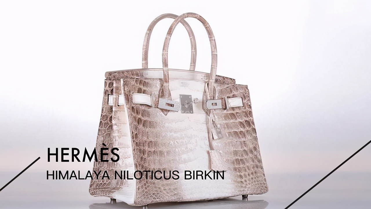 爱马仕最贵的包用什么皮,爱马仕最贵的包有几款