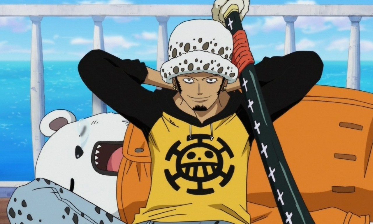 海贼王的帽子代表什么,海贼王帽子标志