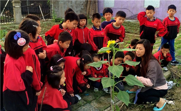 伏羲班到底好不好,伏羲班学生现状