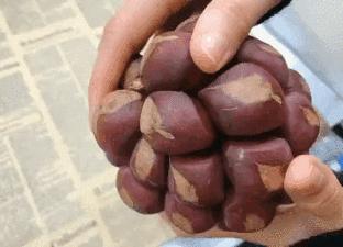 国内好吃的热带水果有哪些,小众水果推荐