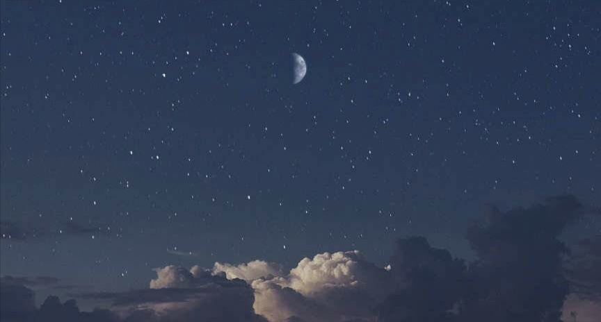 人性最经典的告白,告白真实的话语