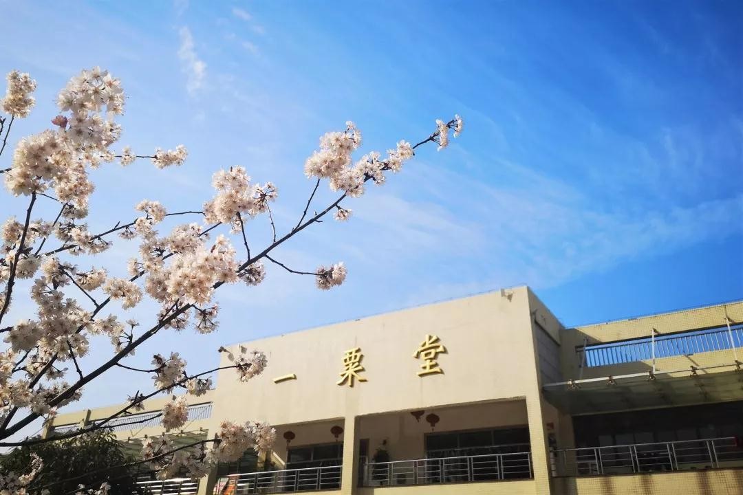 全国食堂最好吃的十所高校,全国最美高校食堂排名