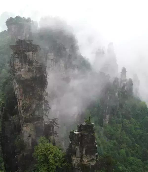 在张家界旅游遇到雨天,去张家界旅游哪个风景最好
