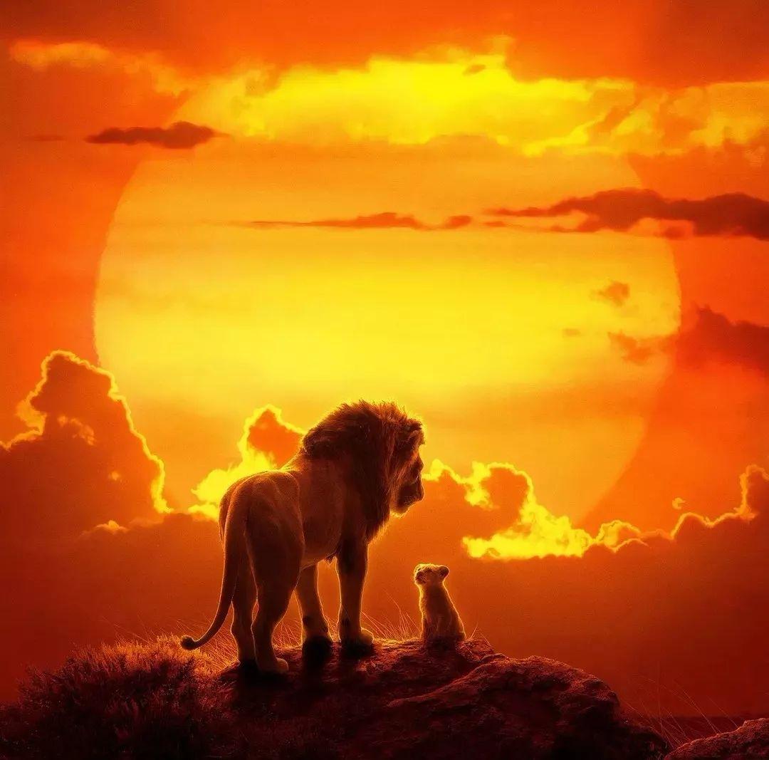 新版狮子王值得看吗,新版狮子王值得买吗