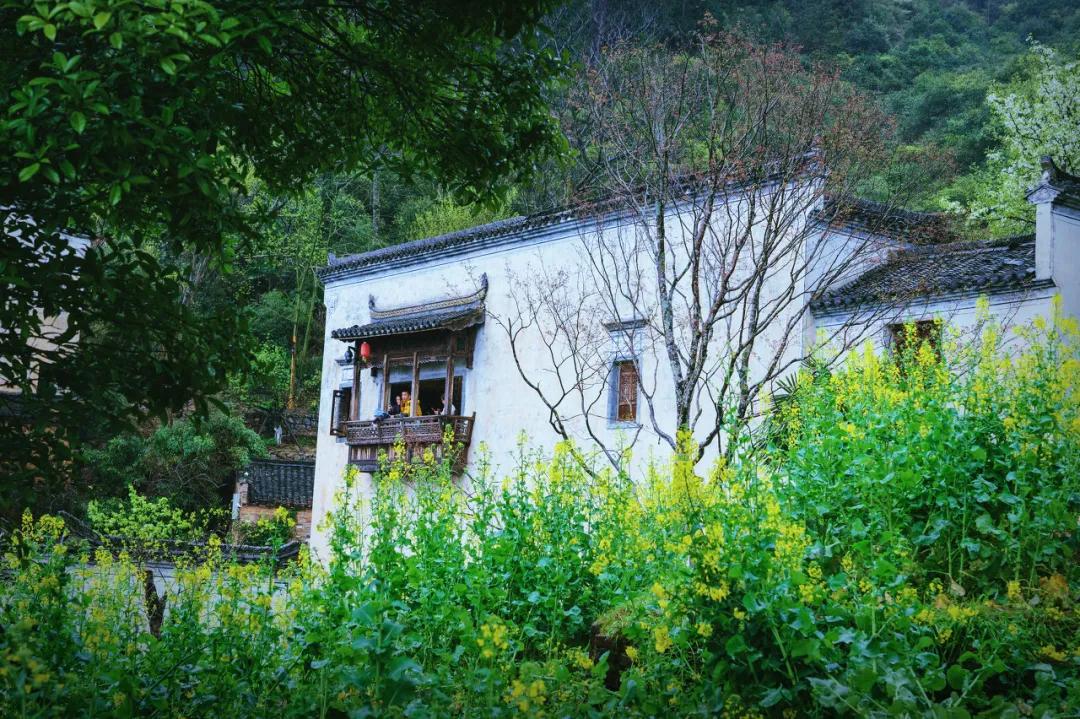 这才是中国最美的乡村,最值得去的鲜花小镇