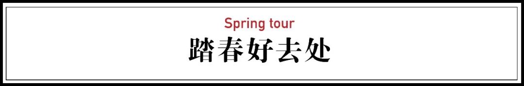 疫情解封后报复性消费的行业,疫情之后会出现消费狂潮么