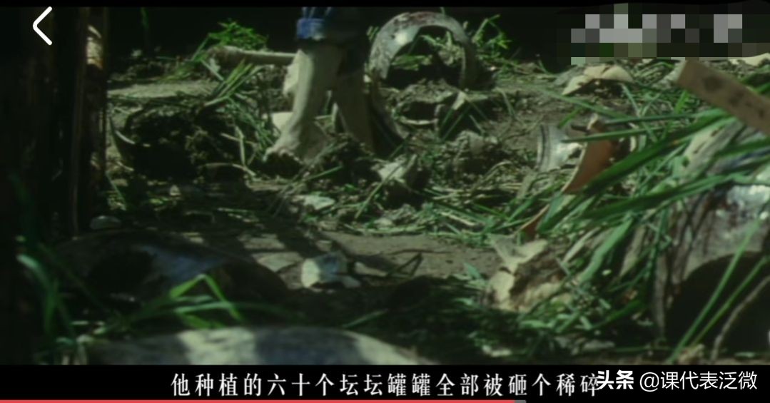 你不知道的袁隆平:浪里白条、预备飞行员、油炸鬼、臭水沟捞宝贝