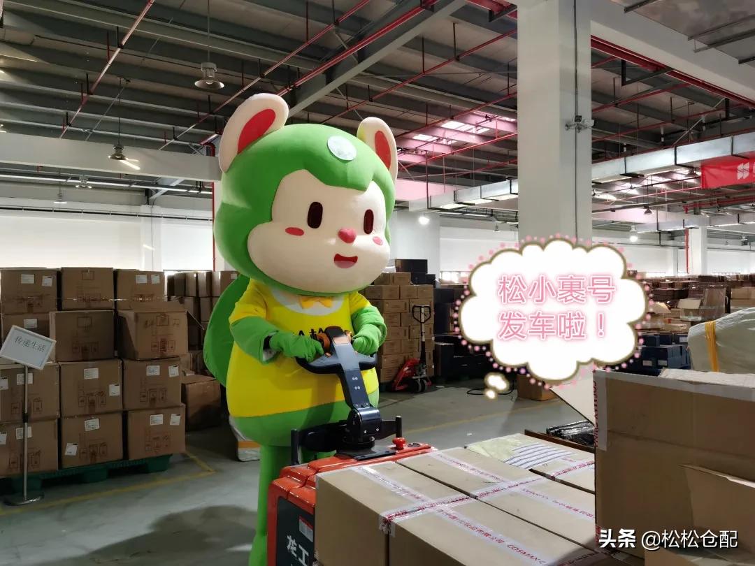 进击的松小裹丨打工人松小裹的学徒之旅