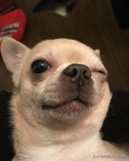 跨境电商VPS租用怎么选择配置,跨境电商ip防关联