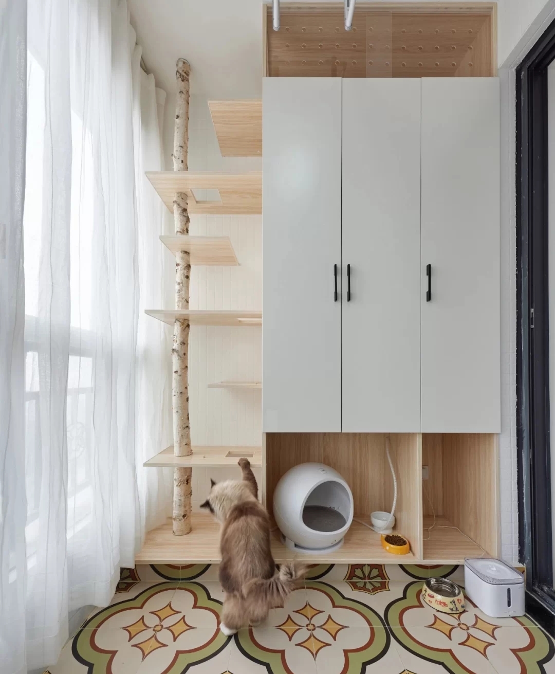 装修分享|养猫指南：铲屎官必看家装攻略