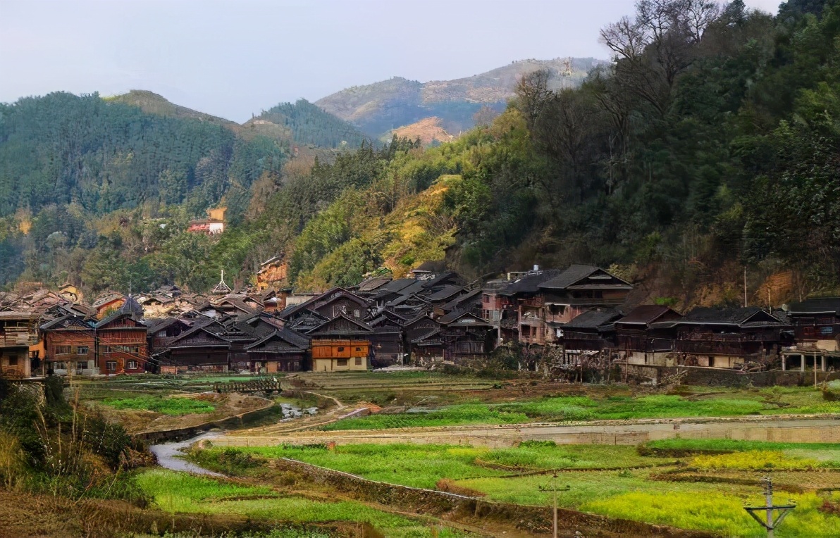 海南黎族苗族三月三习俗,海南黎族苗族三月有什么传统节日
