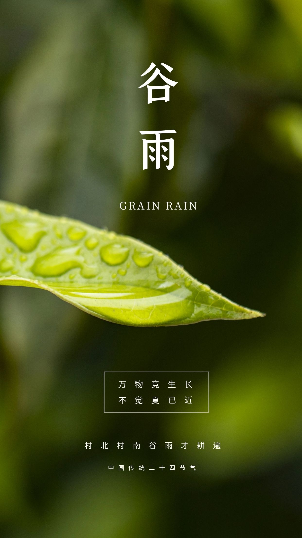 谷雨时节插画线稿,谷雨节气古风插画图片手绘