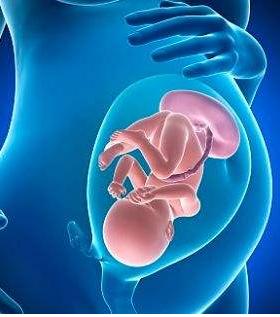 宝宝顺产出生的过程,剖腹产的小孩比顺产的小孩胆小吗