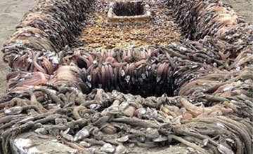 史上未解之谜幽灵船,消失的幽灵船再次出现未解之谜