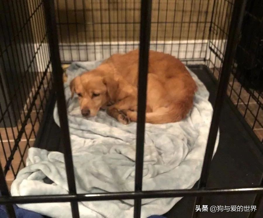 鏅氫笂瀹堕噷杩涗簡涓嶆槑鐢熺墿,鐢峰瓙鍗婂鍥炲閬囦笂涓嶆槑鐢熺墿