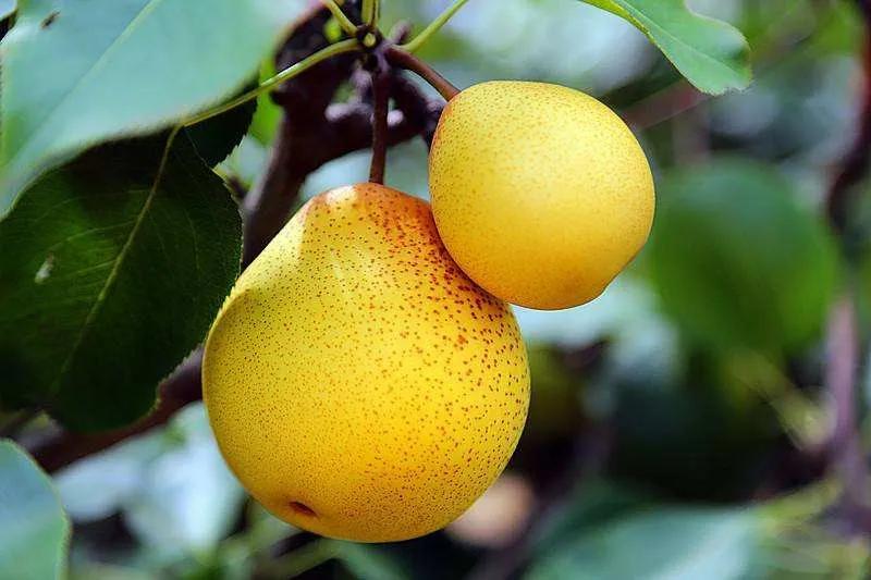 礼县秦皇故里景点,礼县秦文化特产