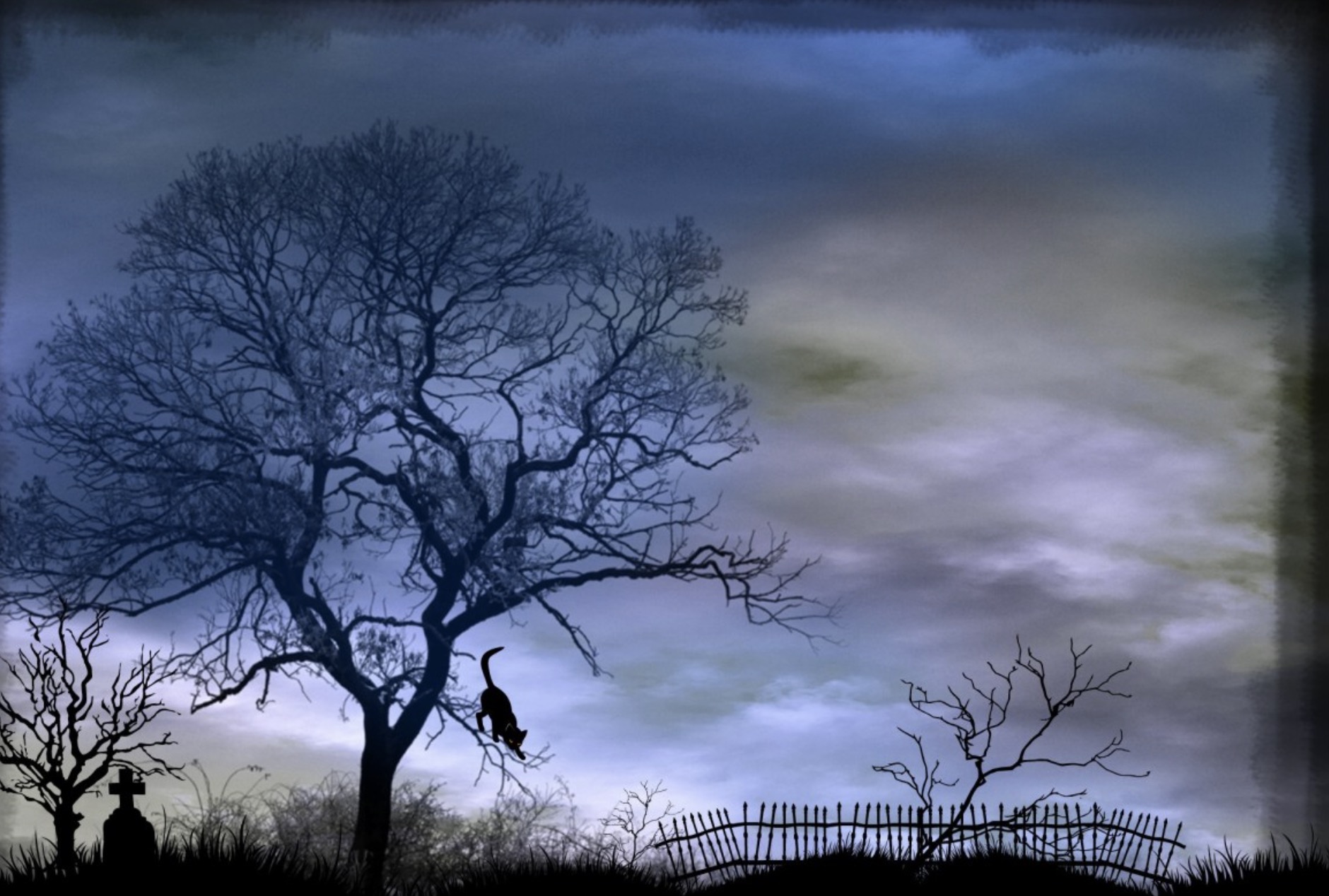 尾鱼新文《枭起青壤》完结啦!双强人设,悬疑高能剧情