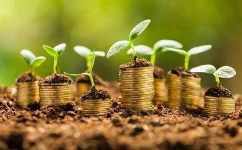 赵老哥买进股票,赵老哥买入文一科技