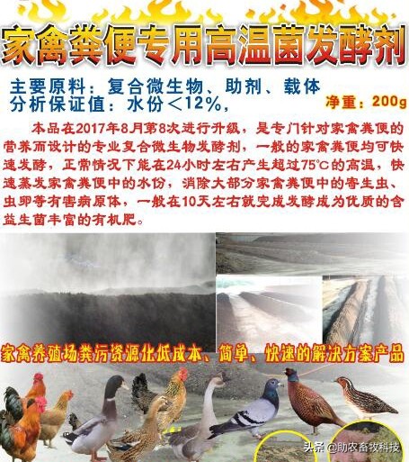 家禽粪便风干,鸡鸭粪便自然发酵方法