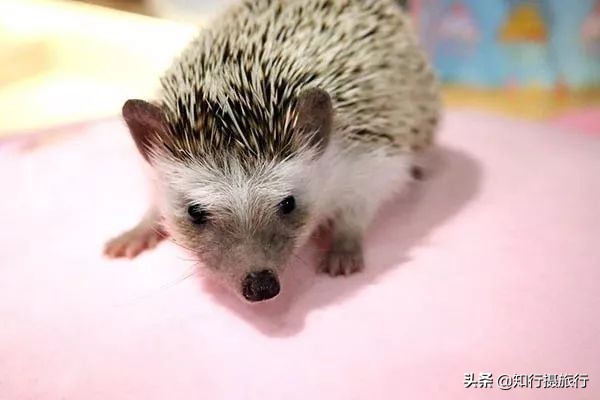 大阪小众景点,去大阪注意事项