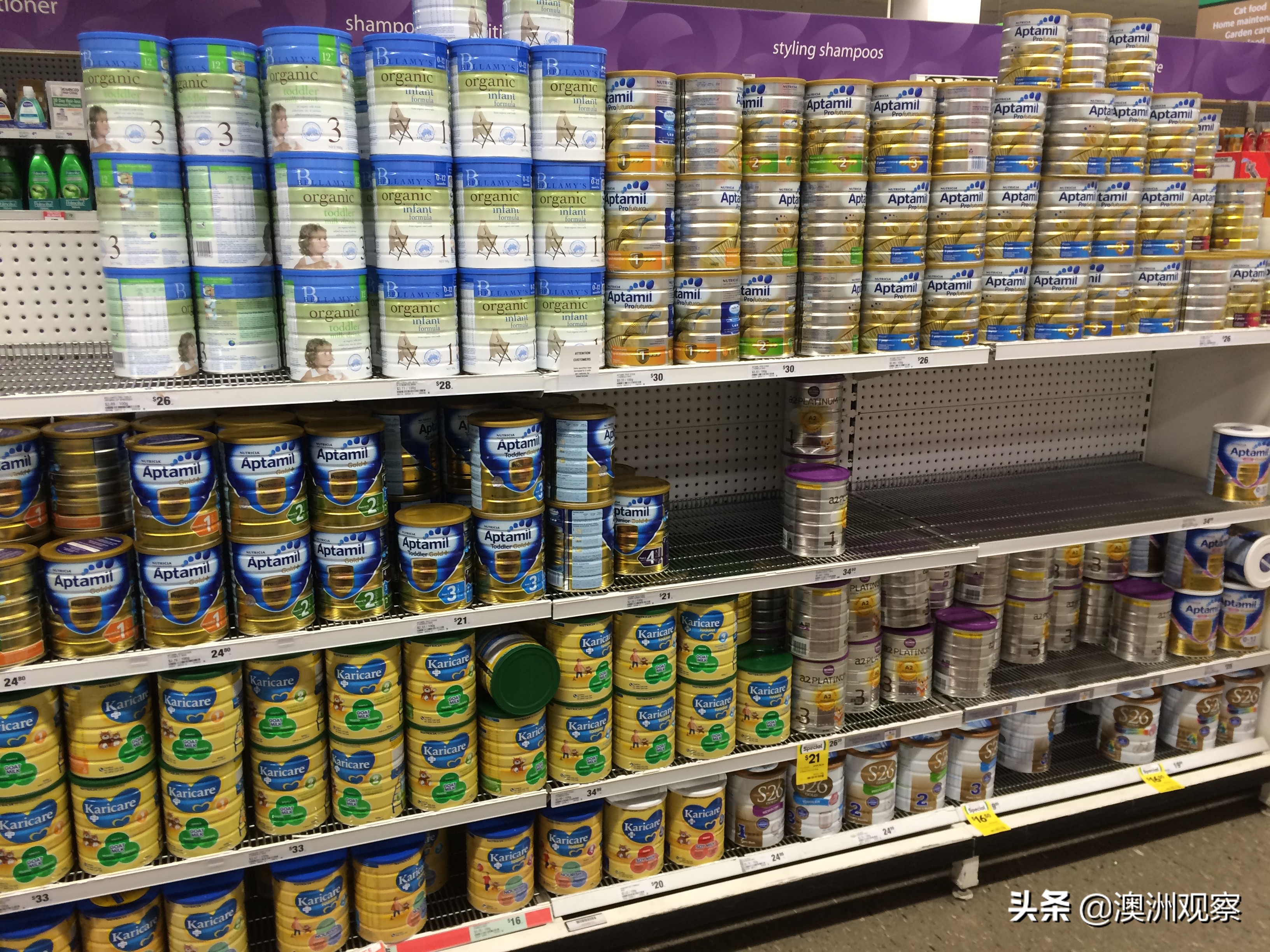 带你逛逛澳洲,带你看看物价有多贵