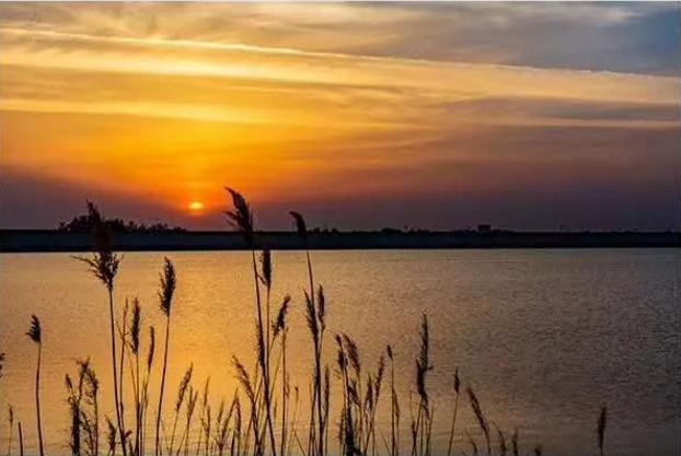 航拍最美临沭,临沭最美风景