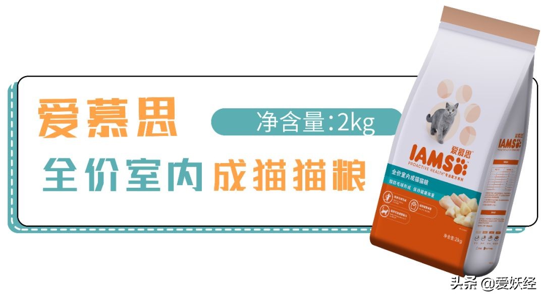 铲屎官减肥瘦身,吐毛球的铲屎官