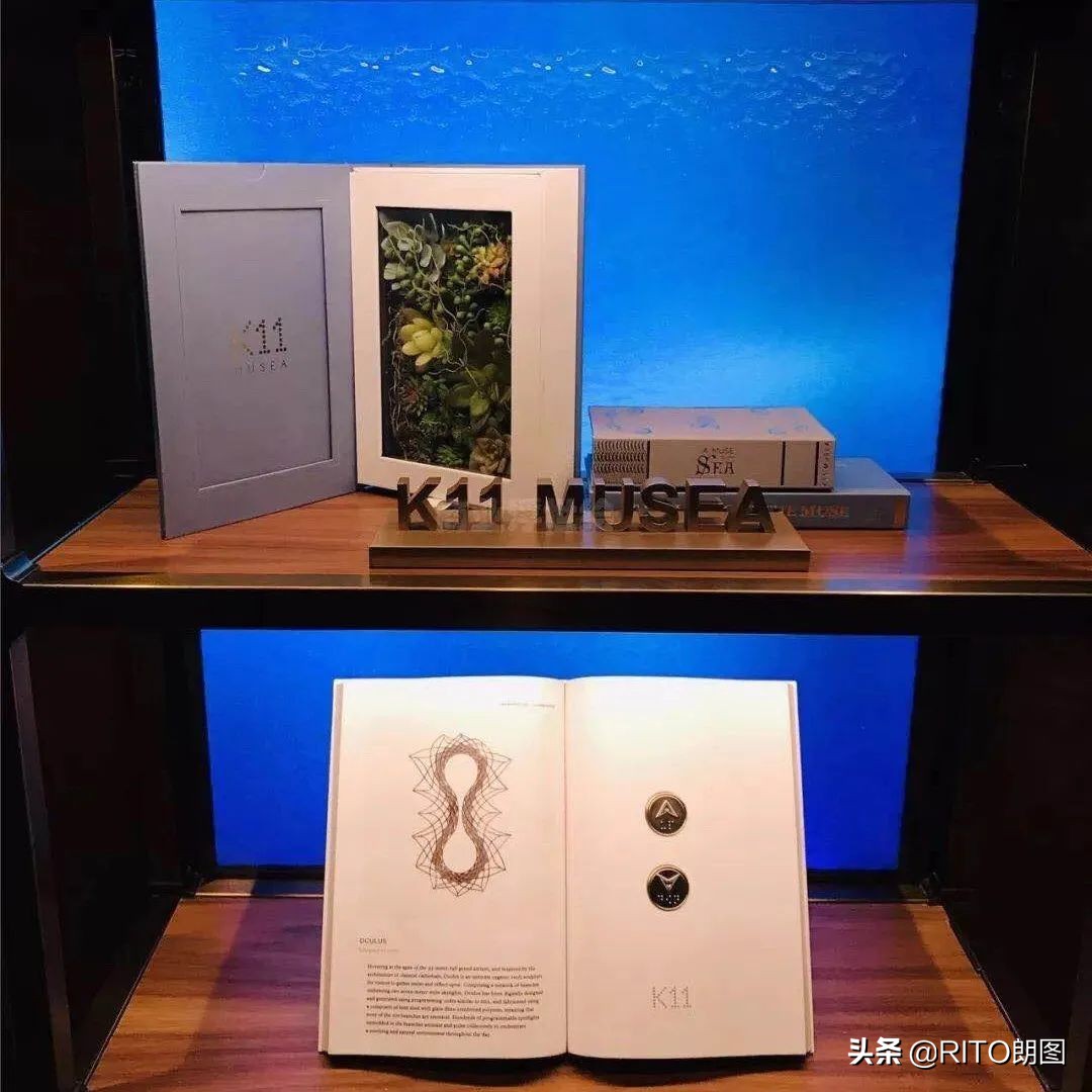 现象级新项目一览,现象级创业是什么