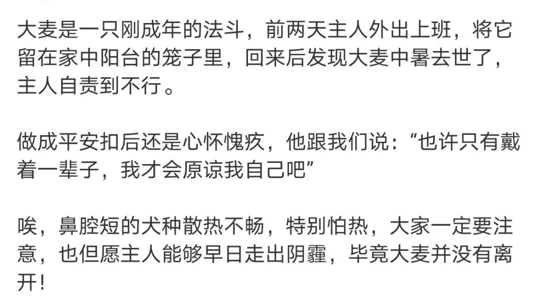 法斗中暑后没呼吸还能抢救过来吗,法斗狗狗中暑死亡了