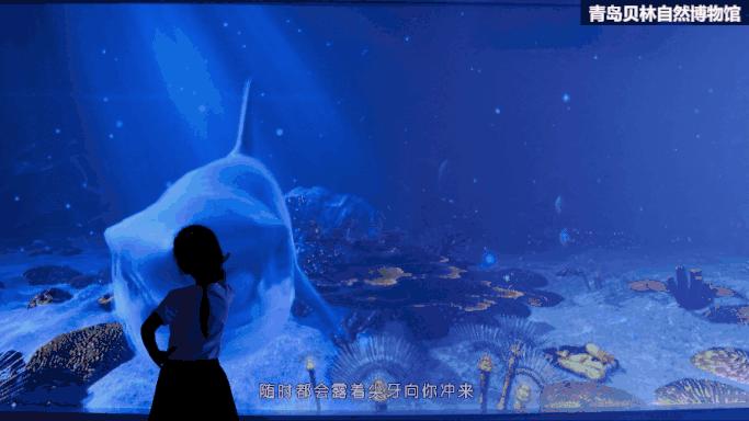 青岛贝林自然博物馆,青岛贝林博物馆门票优惠政策