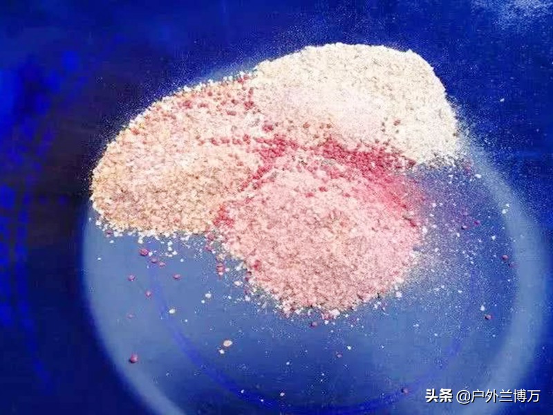 为什么都说新手用蓝鲫,为什么老钓手不爱用蓝鲫