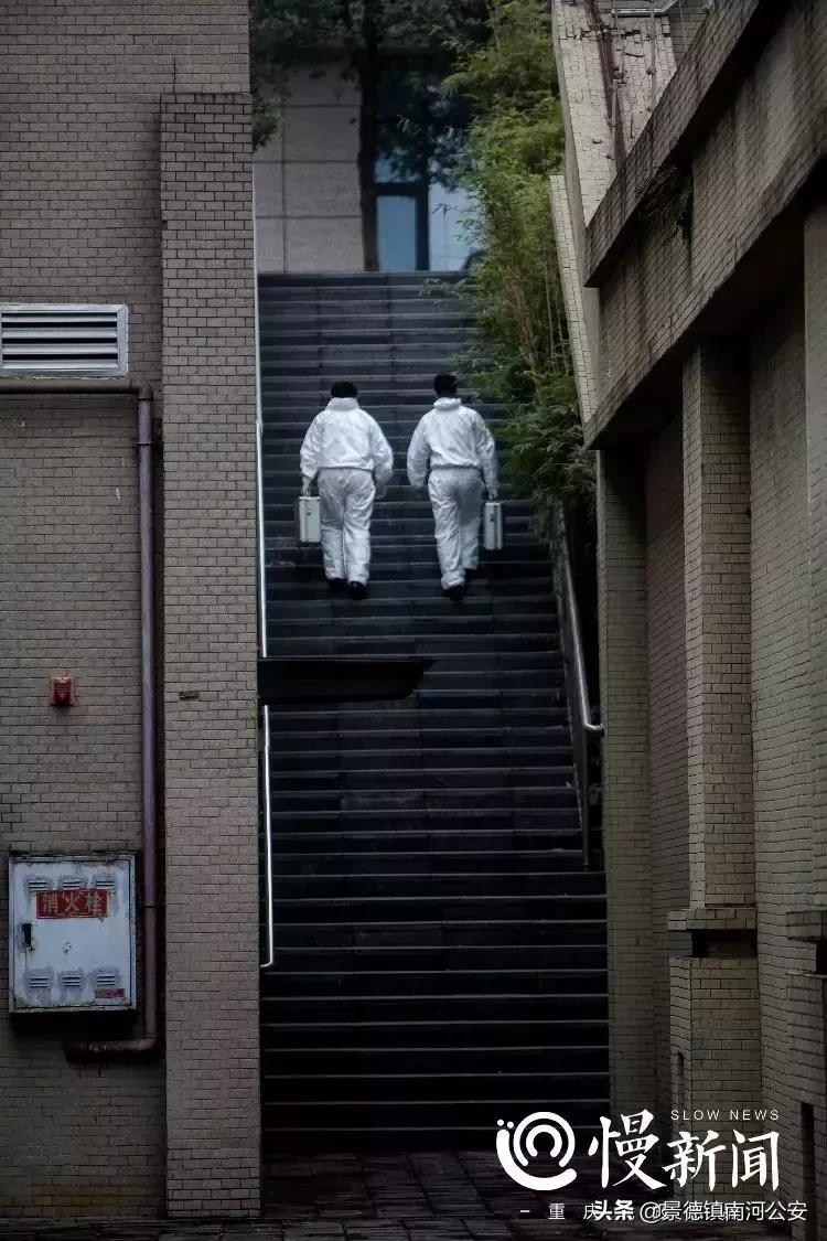 法医悬疑系列电影,10部好看的法医悬疑电影