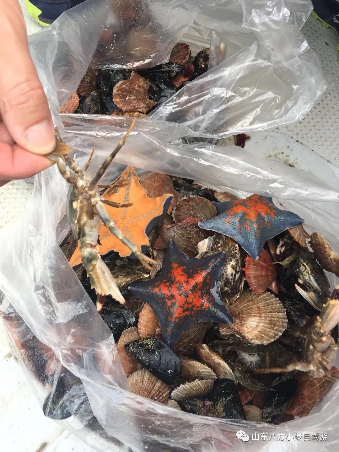 潍坊自驾游攻略美食,潍坊海边一日游自驾游