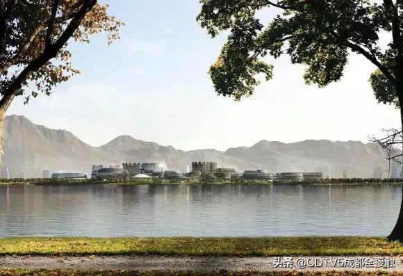 对标上海浦东新区,对标先进提速高质量发展