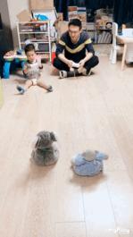 儿童室内跑步运动游戏,100个适合孩子玩的运动小游戏