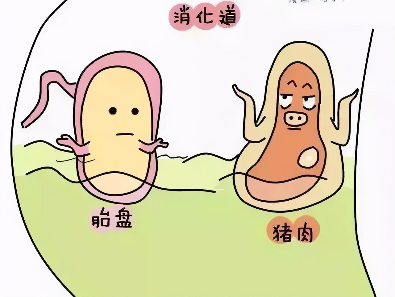 辟谣!胎盘到底是“十全大补”还是在吃蛋白质?看完你还要吃吗?